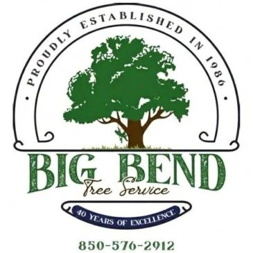 Logo for Big Bend Tree Service with a tree and establishment year.