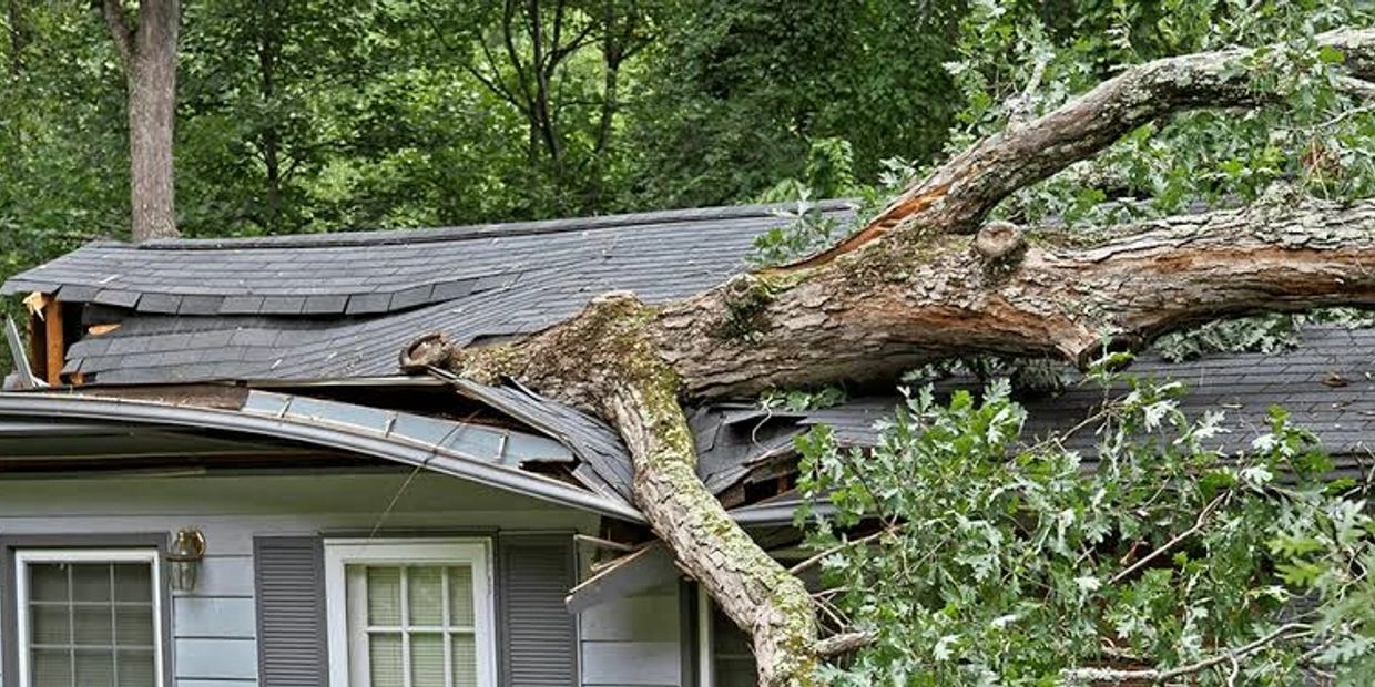 Tree fallen on house roof causing damage.