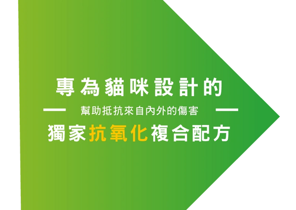 專為貓咪設計的複合配方