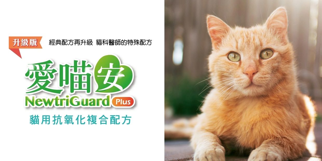 愛喵安NewtriGuard Plus貓用抗氧化複合配方