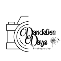 Dandelion Days Photography