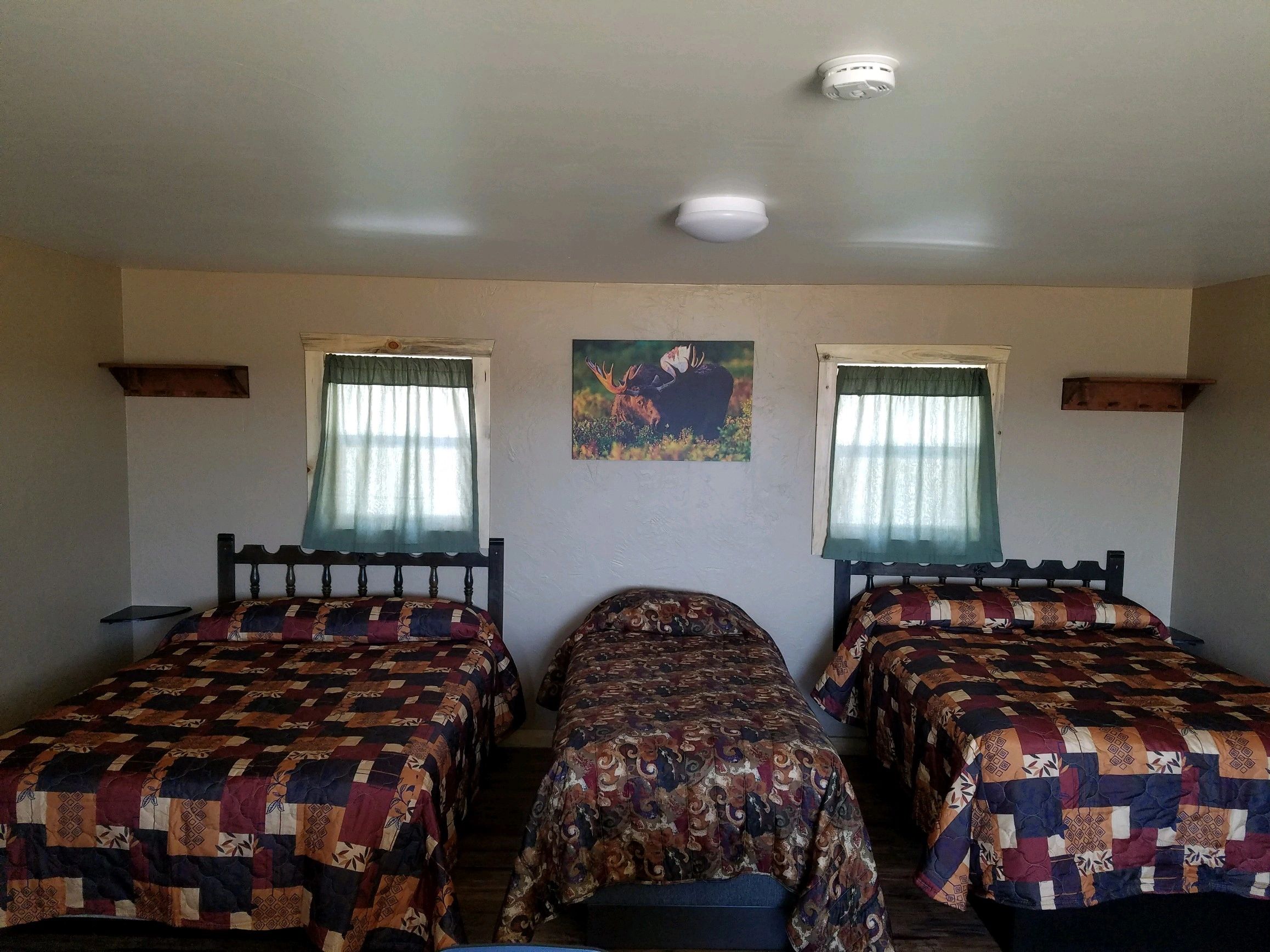 A room with three beds, two windows, a painting, and shelves on the walls.