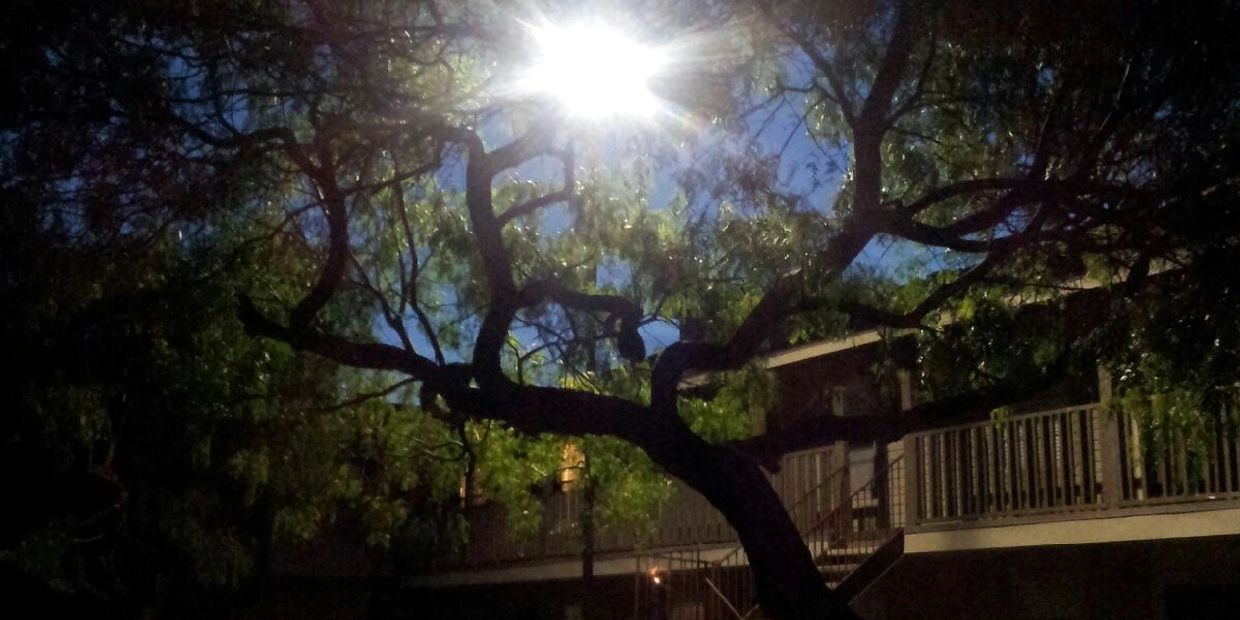 Westbury Square Apartments in Portland, Texas