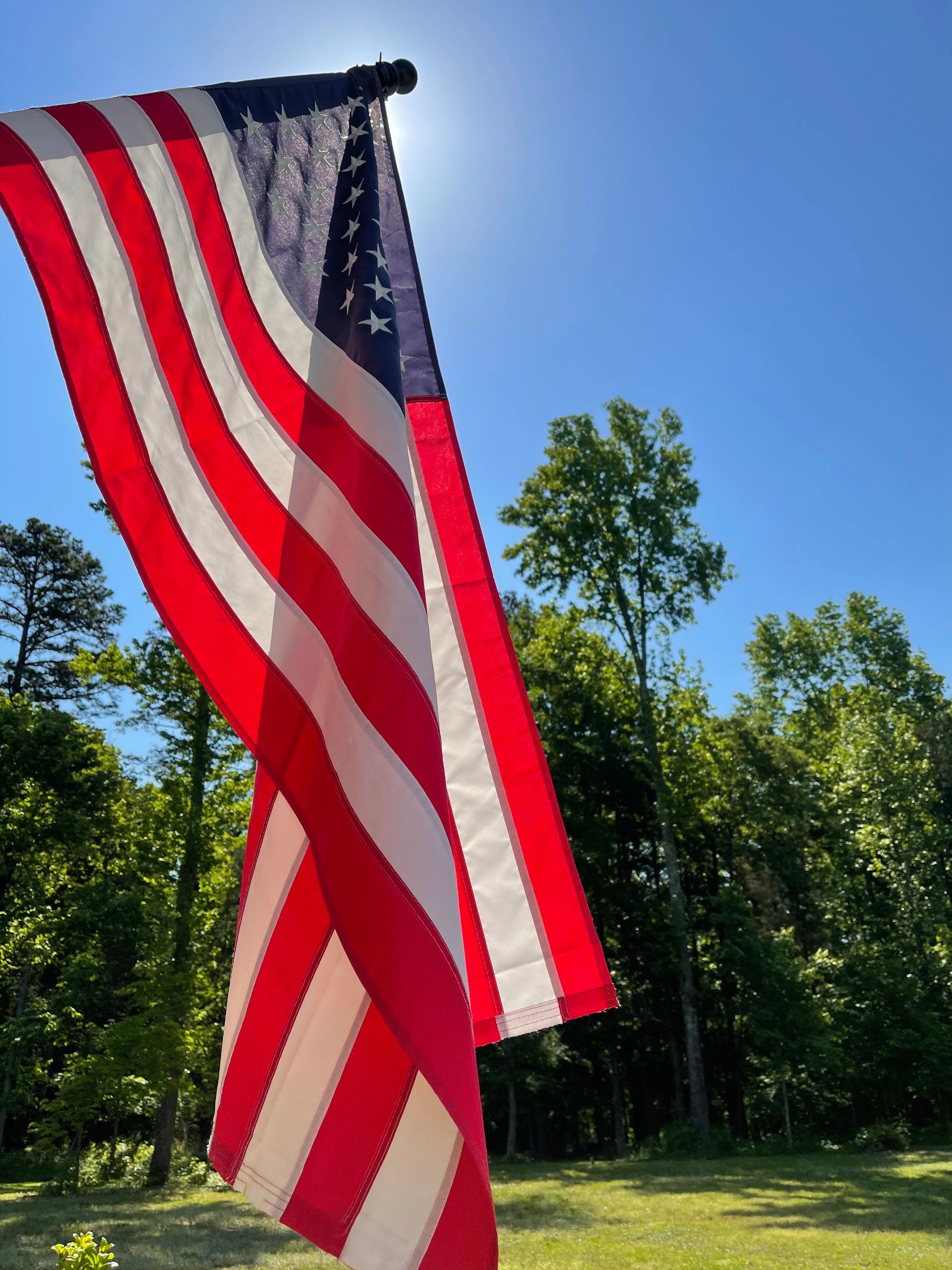 The US flag