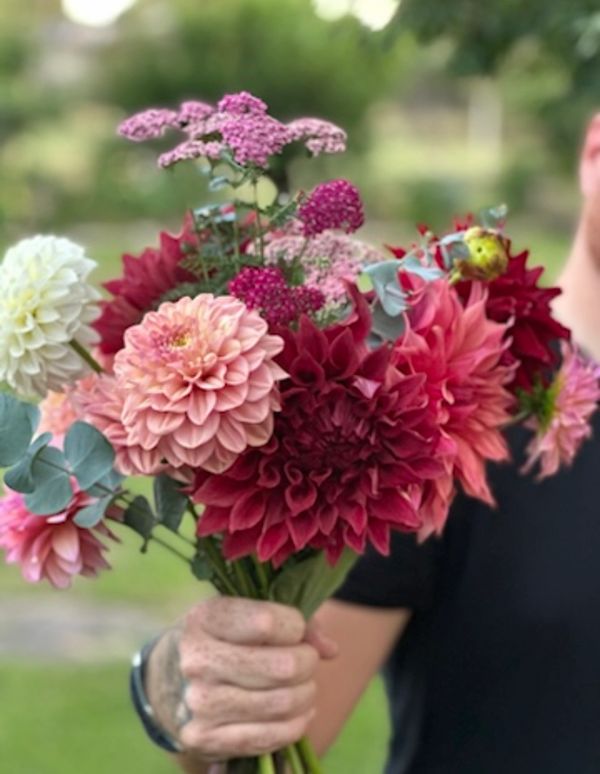 Rosewood Cottage Wholesale Locally Grown Seasonal Flowers Canberra, Canberra Micro Flower Grower