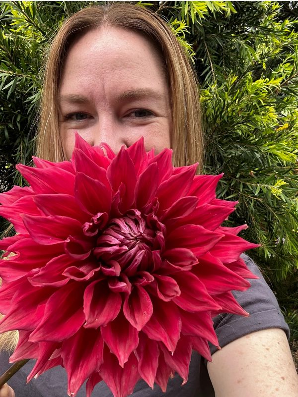 Rosewood Cottage Wholesale Locally Grown Seasonal Flowers Canberra, Canberra Micro Flower Grower