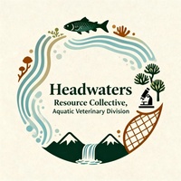 Headwaters Resource Collective