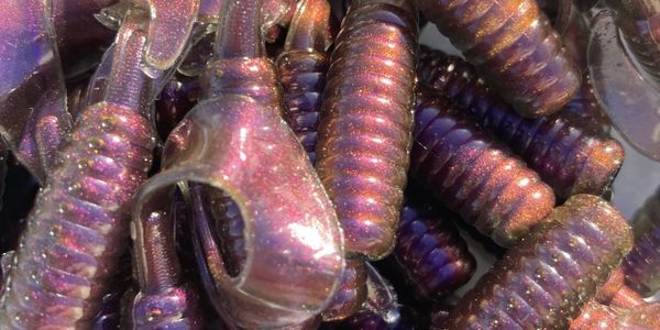 Insane Fishing Lures - Curly Tail Fishing Grubs, Curly Tail Grubs