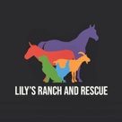 Lily's Ranch and Rescue