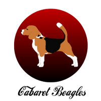 Cabaret Beagles