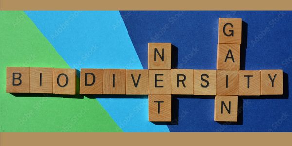 <img src="wooden-letters .jpg" width="1980" height="1800" alt="wooden-letters>