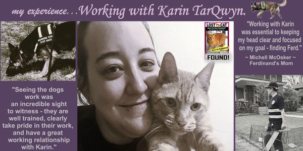 A woman holds a cat, sharing her positive experience with Karin TarQwyn's dog training and pet recovery.