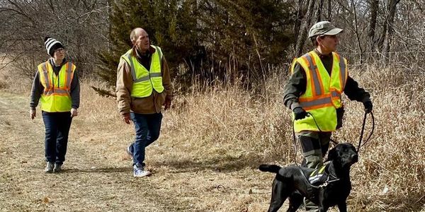 Three people in safety vests walking in a wooded area with a black dog.
