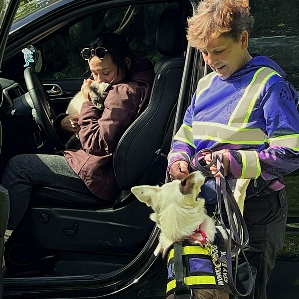 Two women with a dog and kitten near a car, sharing a joyful moment.