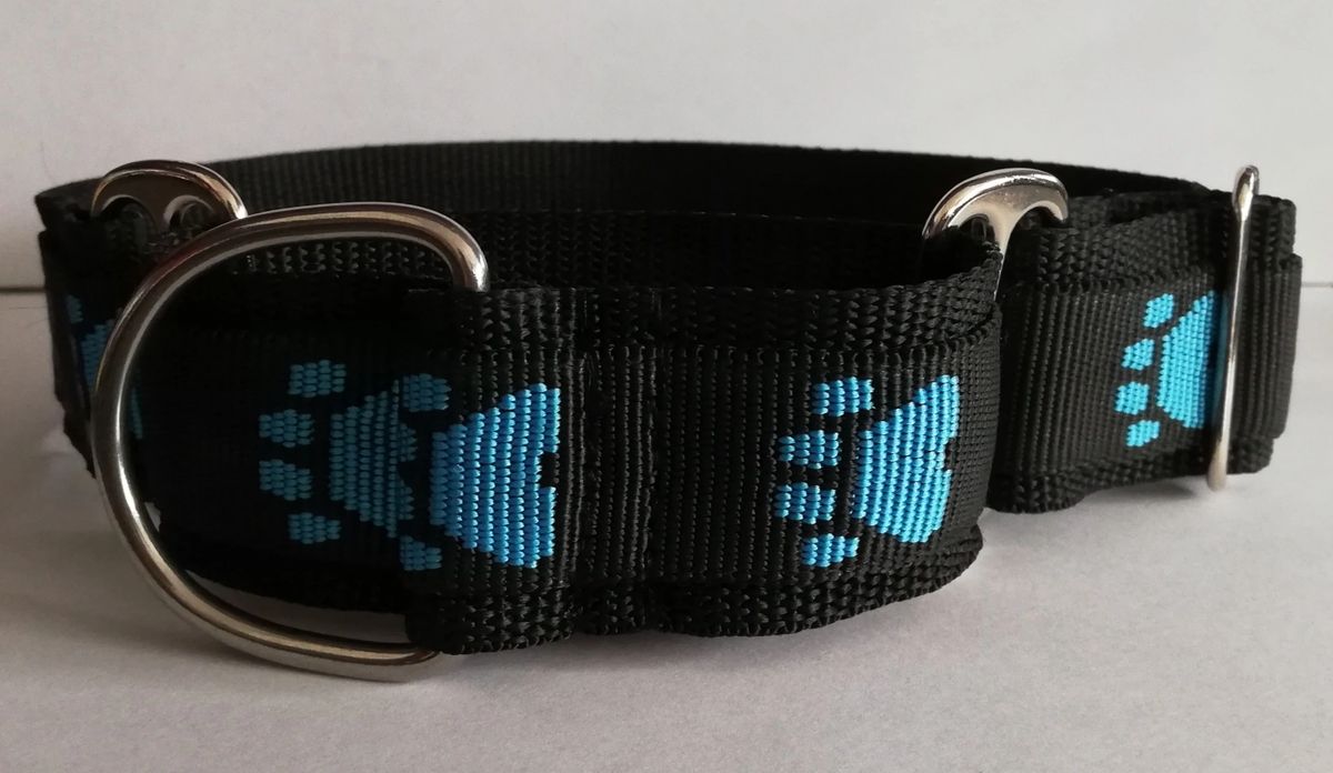 Martingale Dog Collar 1.5" wide Black with Blue Paw Prints Design