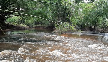 Bathing in the River of Return