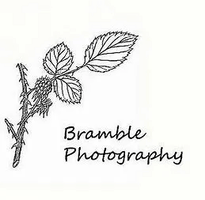 Bramble Photography