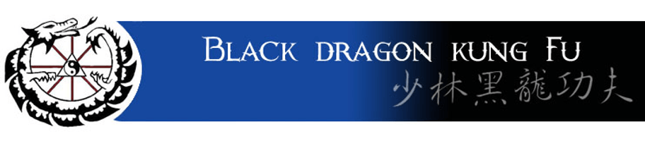 Shaolin Black Dragon Kung Fu