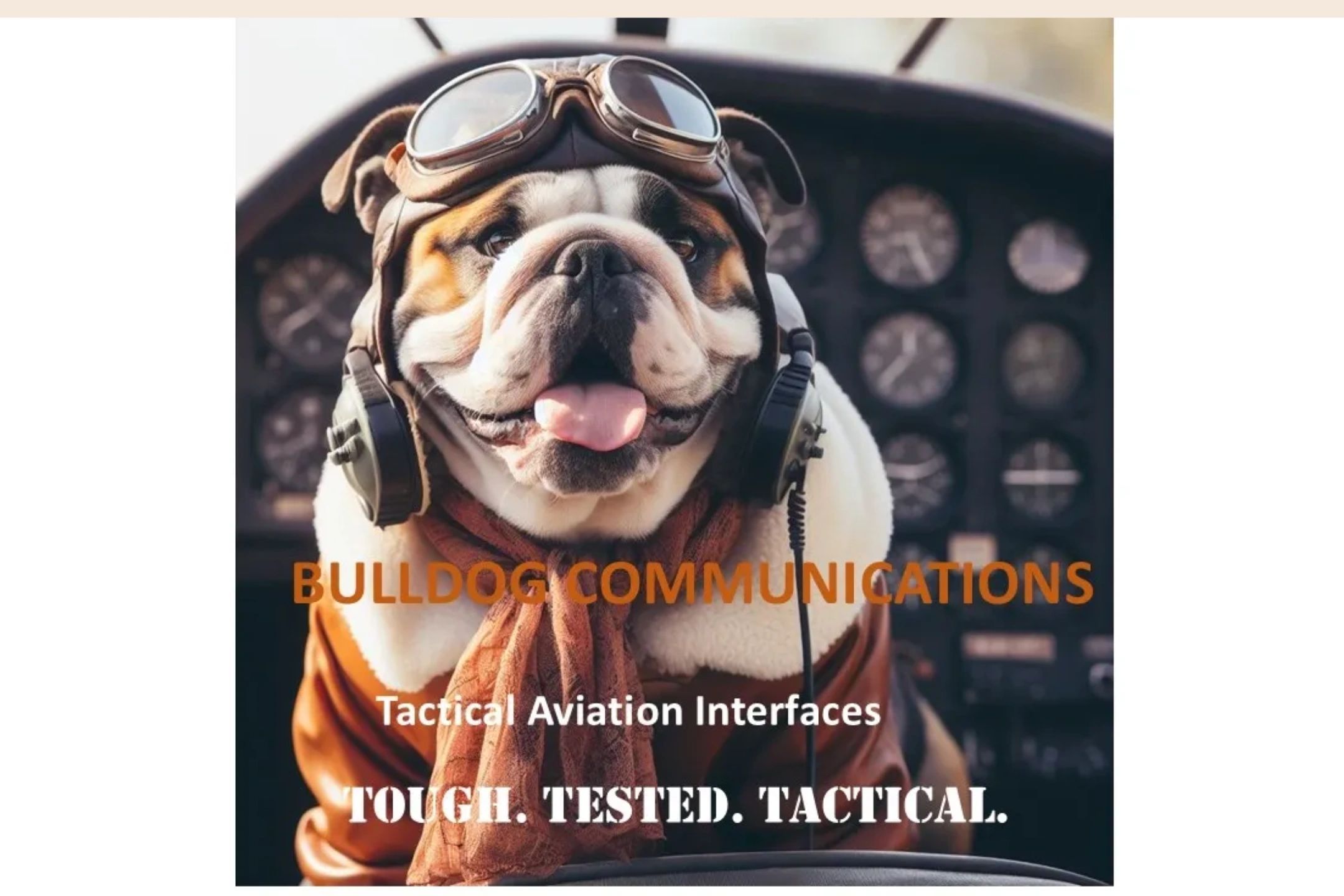 Bulldog Coding BulldogComms