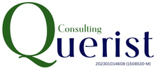 Querist Consulting