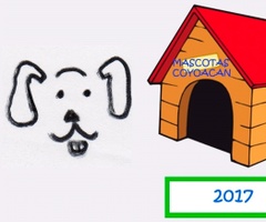 Accesorios para tu mascota Coyoacan