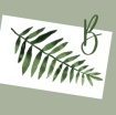 BanannaBags 
Local Sustainable Beautiful 