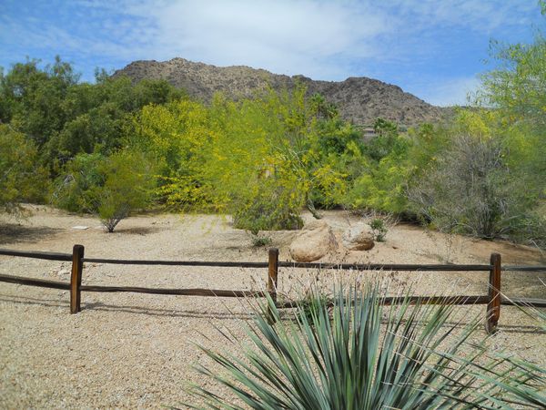 View from JW Marriott Camelback Suite 