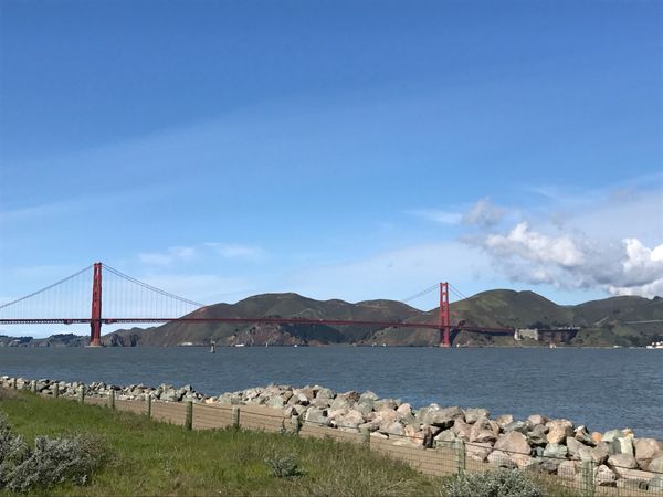 Crissy Field