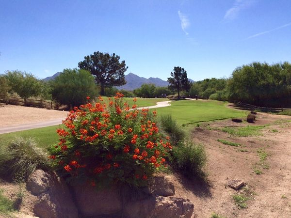 TPC Scottsdale