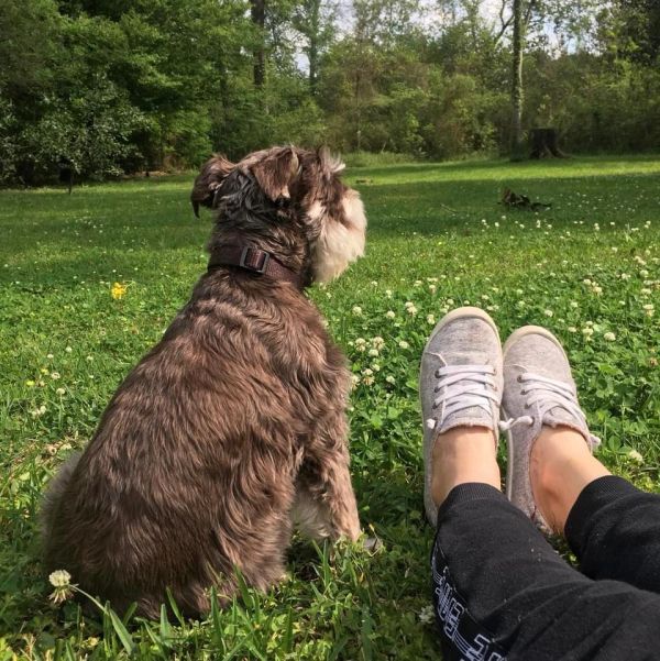 Person and dog relaxing in a grassy park.