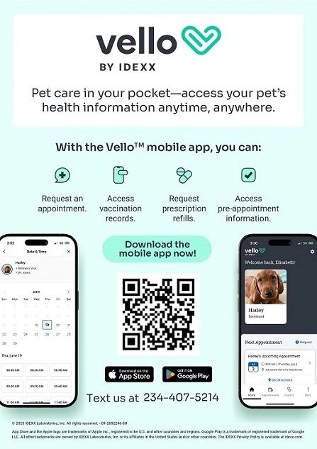 Vello app offers easy access to pet health info anytime, anywhere.