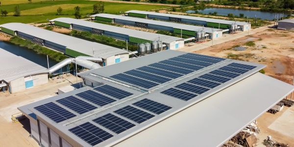 Solar panels on a property's roof (view from above)