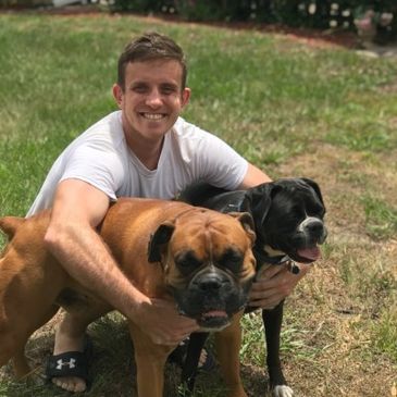 Young man happily hugging two dogs outdoors on grass.