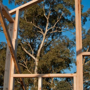 yellow gum behind house
 framing