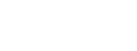 German Visions