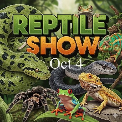 Toledo Reptile Show at Indian Creek Zoo, Lambertville MI