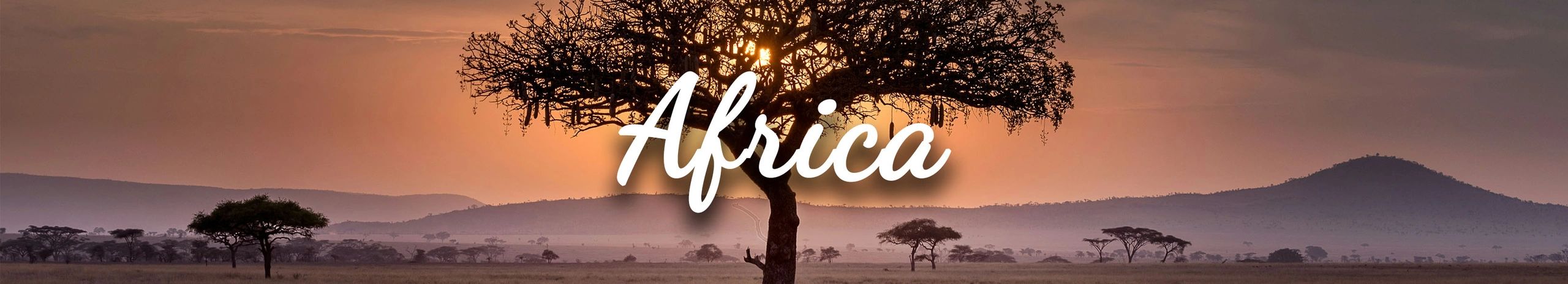 African Safaris, Morocco, South Africa and  Seychelles