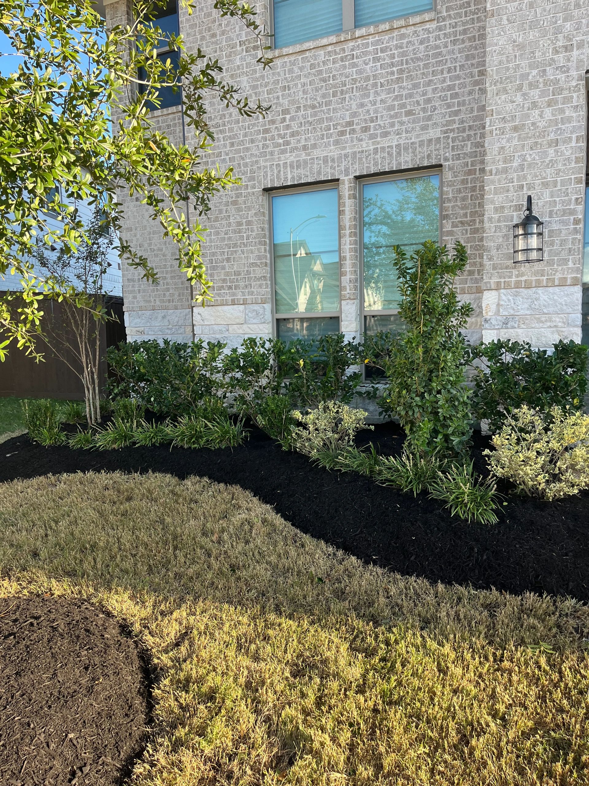 “Transforming your garden beds with fresh, vibrant mulch—beauty, protection, and curb appeal all in 