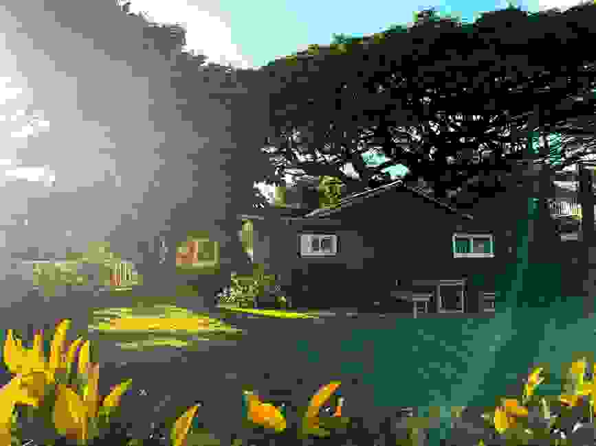 Koloa Dance House Dance Class Koloa, Hawaii