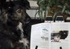 Posing next to an article about her in a training magazine.