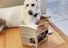 Maya...as a pup, while snoring, she slept through my entire first session with her. I hope she finds the book more interesting.  Thanks to the Regevs.