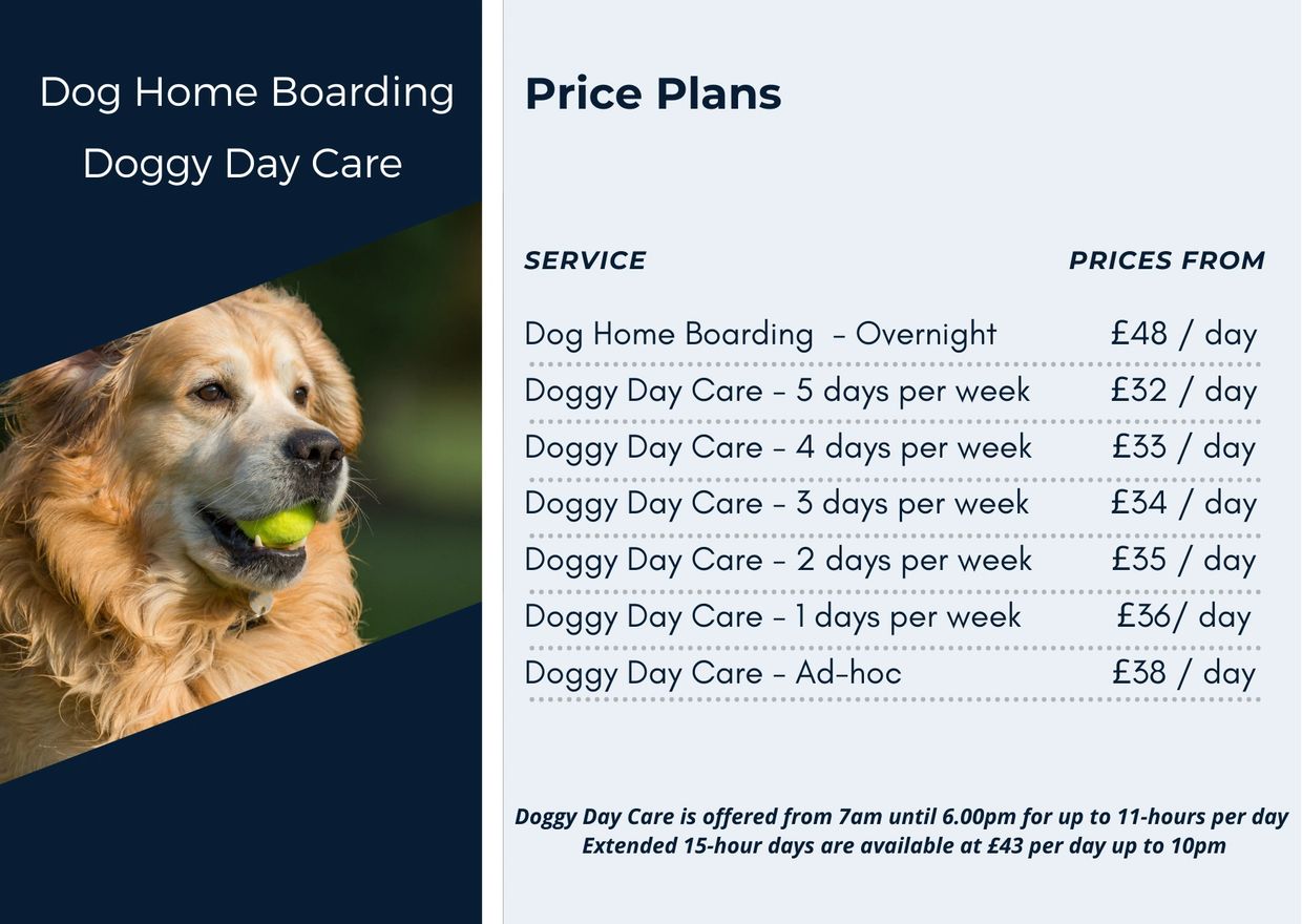Animal Dog Daycare Cost Per Day Dog Sitters Dog Boarding Rates Per
