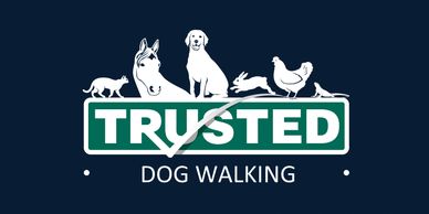 Dog walker, dog walkers, dog walking, caring for dogs