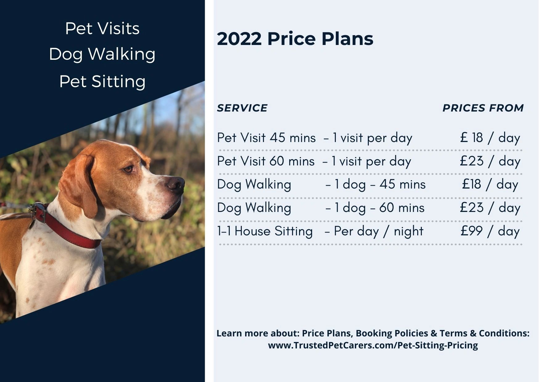 how much should i charge for dog walking and sitting