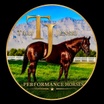 Tilly Jenski Performance Horses