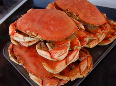Beautiful Dungeness Crabs on The Way!