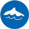 Filly The Dolphin