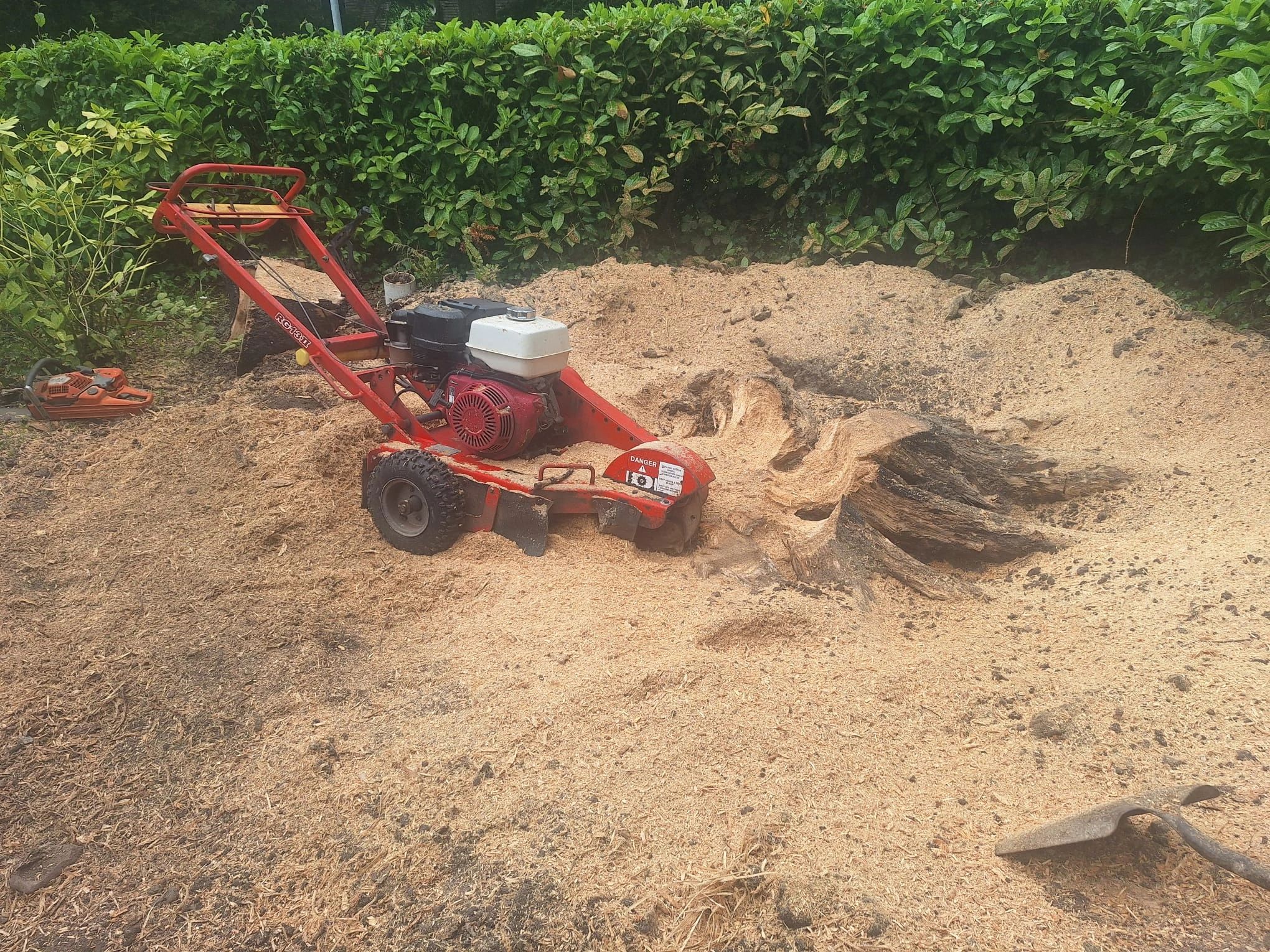 A red stump grinder and chainsaw on sawdust-covered ground.