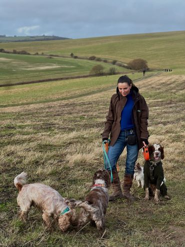 Woman walking four dogs in a grassy field on a cloudy day.