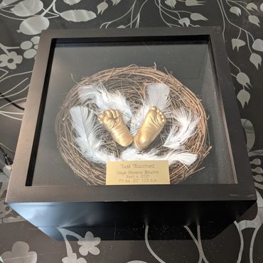 Baby  hand and foot casts in a nest inside a shadow box